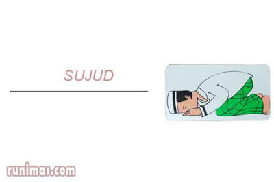 sujud